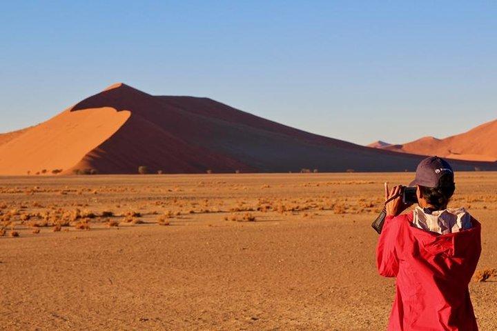 6-Day Dunes and Wildlife Accommodated Safari from Windhoek