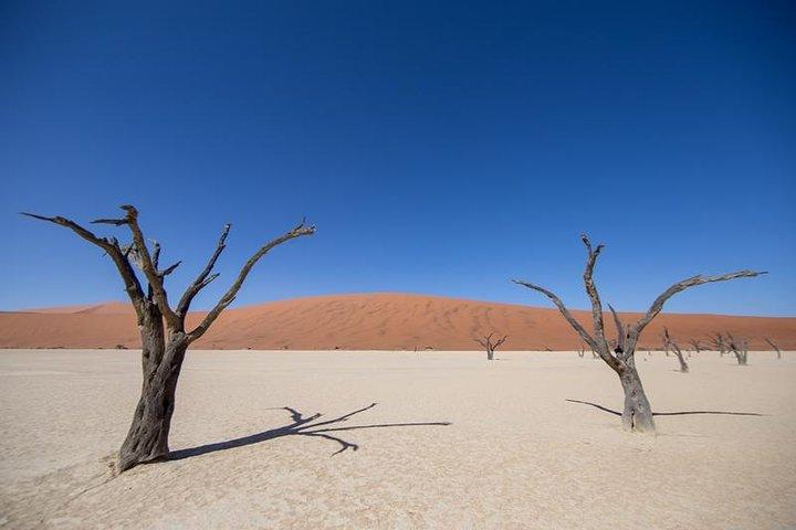 4-Day Swakopmund & Sossusvlei Accommodated Adventure from WHK