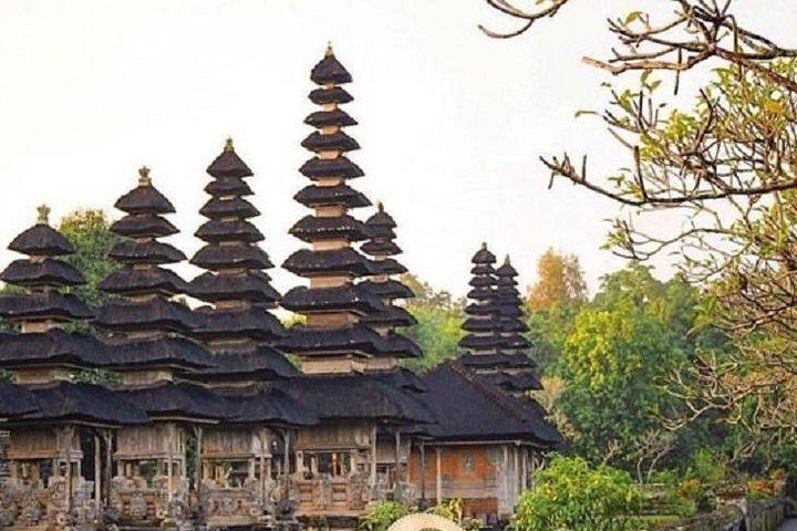Private Full-Day Tour Jatiluwih Rice Terrace and Tanah Lot Temple