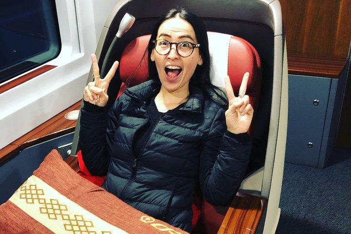 Private Day Trip to Terracotta Army from Beijing by Bullet Train