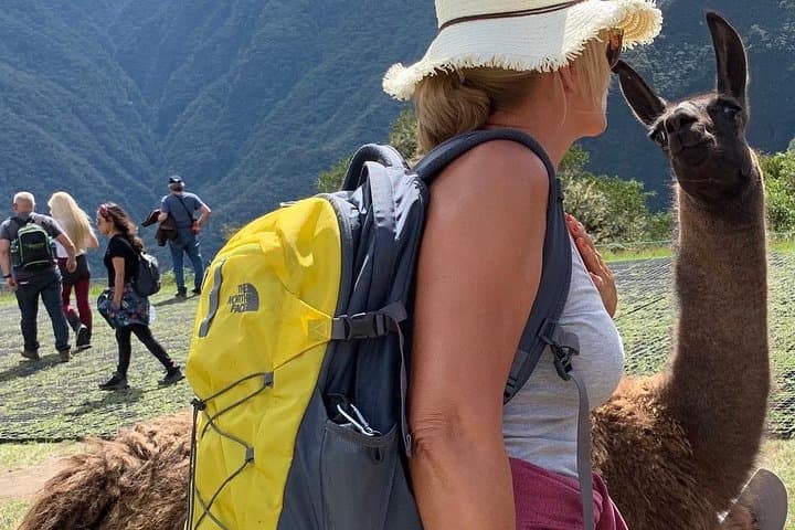 Machu Picchu Tour in 1 Day