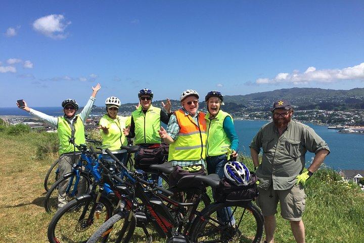 Guided Wellington Tour by Electric Bike