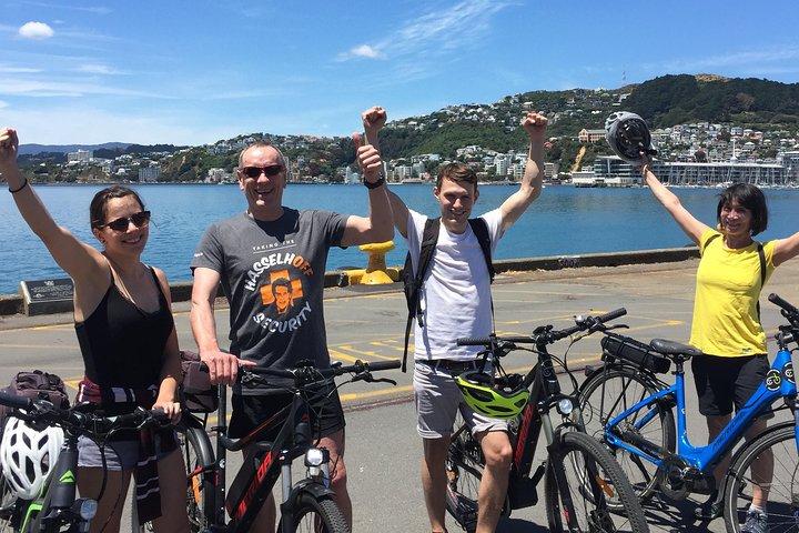 Guided Wellington Tour by Electric Bike