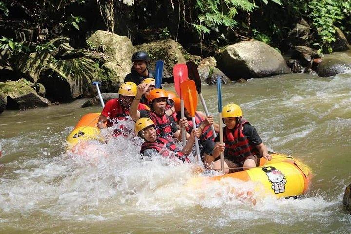 Ubud Water Rafting And Swing All Inclusive Private Guided Tour