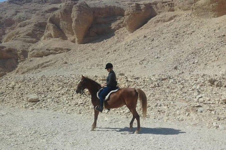 Private Horse Riding Tour in Luxor West Bank