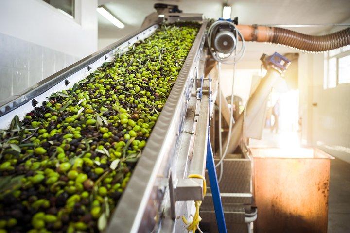 Olive Oil Tasting & Ancient Epidavros