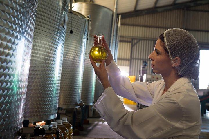 Olive Oil Tasting & Ancient Epidavros