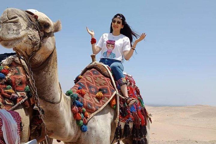 Tour To The Pyramids Of Giza Sakkara Dahshour And Memphis