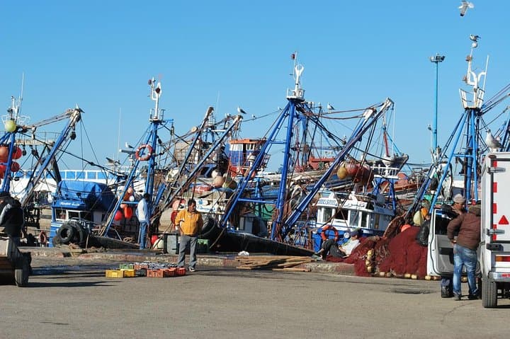 Day Trip Essaouira from Marrakech