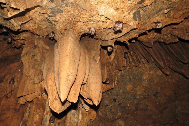Caving Tour in Rishikesh - 6 Hrs.