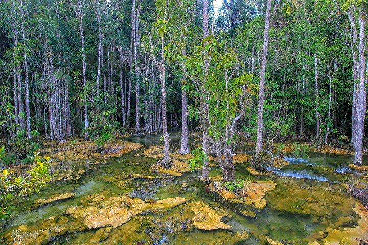 Krabi Outback Explorer to Emerald Pool, Wareerak Hotspring and Beyond