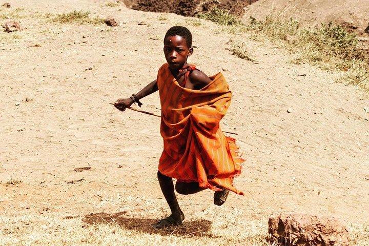 6 Days lodge safaris