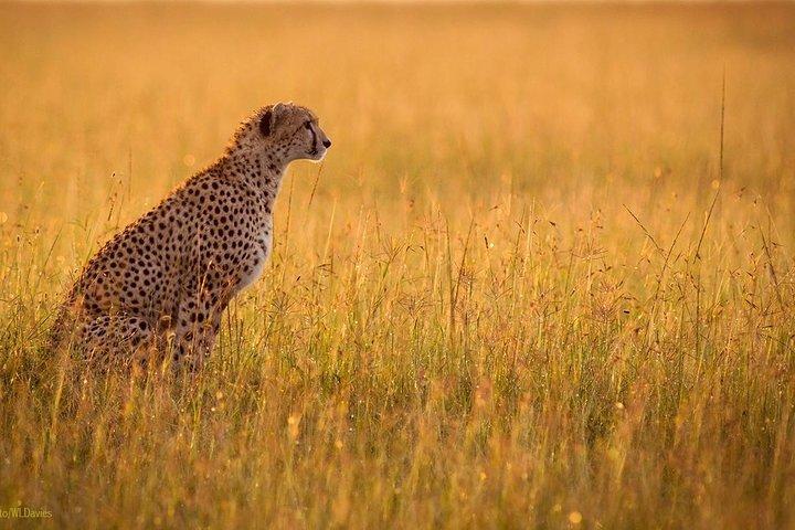9 Days / 8 Nights Join group Safari
