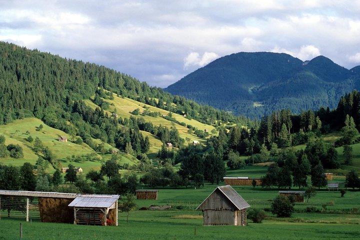 Magic of Alps, Triglav NP with Lake Bohinj & Waterfall Savica, HD Trip from Ljub