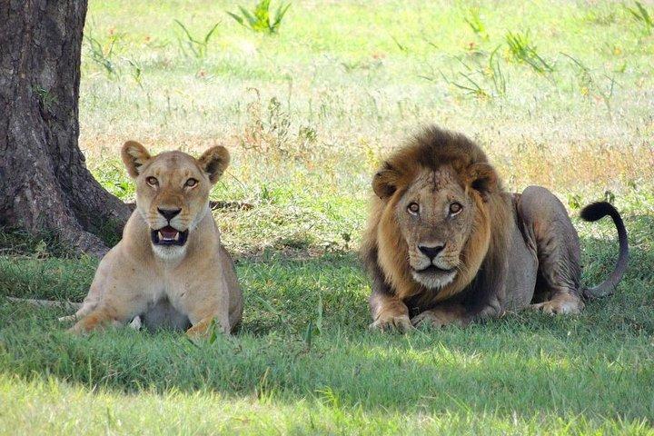 12 Days / 11 Nights Private group safari