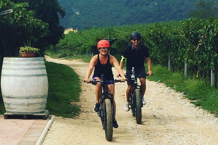 Bike Station Valpolicella: E-bike tour & Amarone Tasting