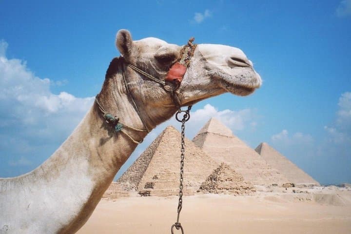 VIP Private tour to Pyramids of Giza and Sphinx