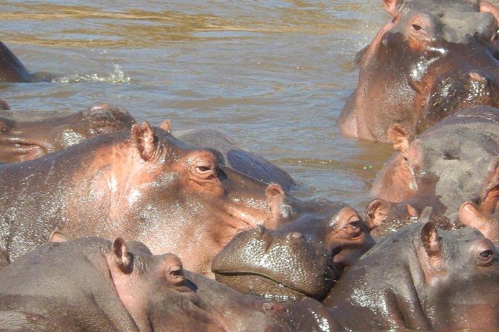 Lake Nakuru National Park day tour from Nairobi