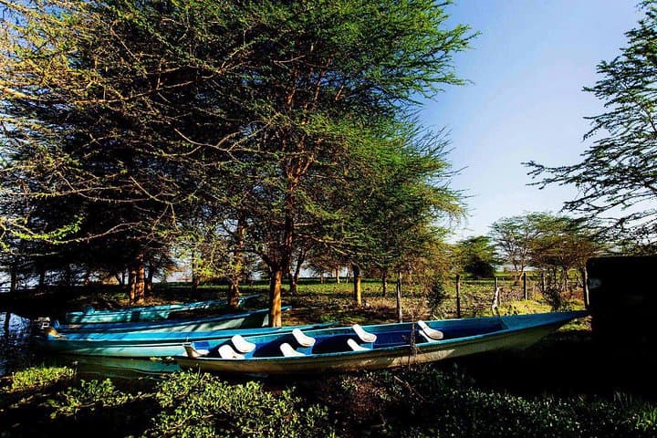 Lake Nakuru Park & Lake Naivasha Boat Ride