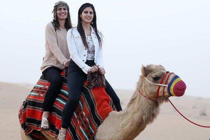 Dinner in The Desert Private Basis - Without Dubai Dune Bashing