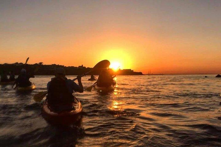 Dublin Bay Seal Kayaking Safari at Dalkey