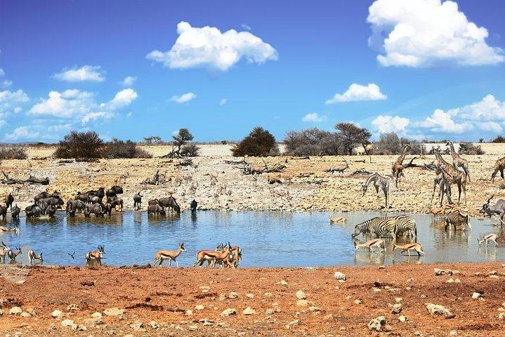 7 Days-Desert adventure, Swakopmund & Etosha Lodging Tour