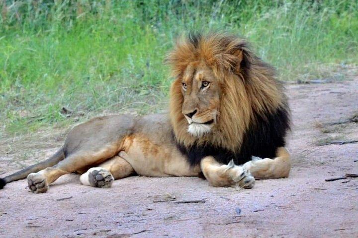6 Days Private Safari Tanzania