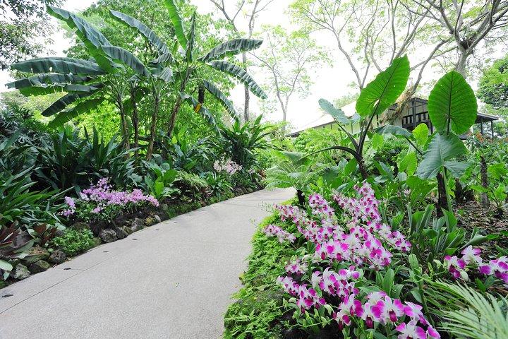 City Tour in Singapore with Orchid Garden Ticket
