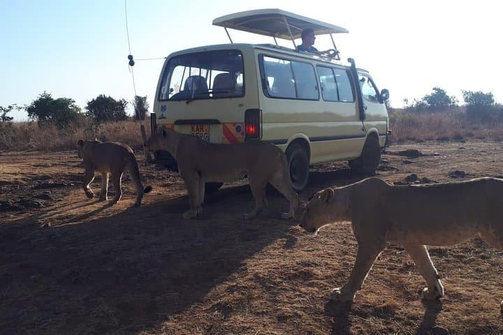 Nairobi Tours For Airport Lay-over
