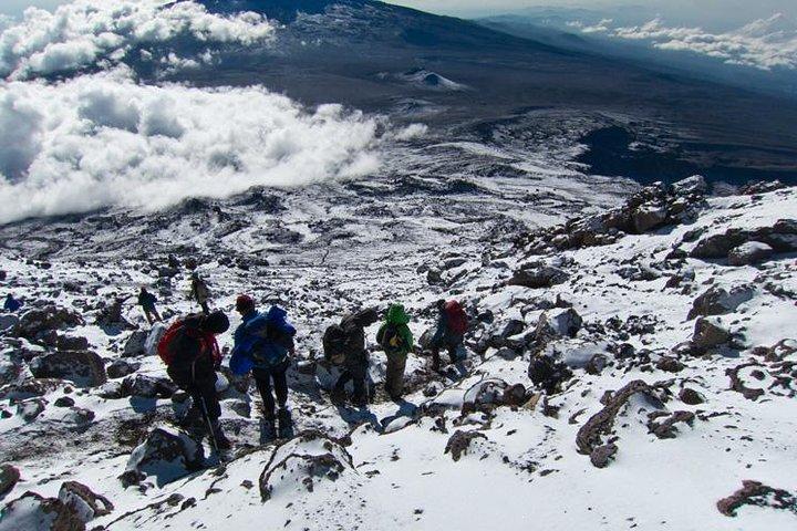 7 Days Mount Kilimanjaro Machame Route Climb.