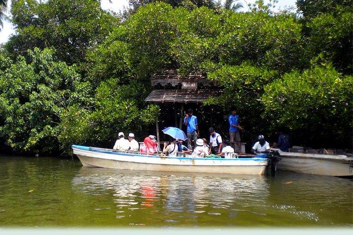 Southern Sri Lanka Sightseeing Private Day Trip