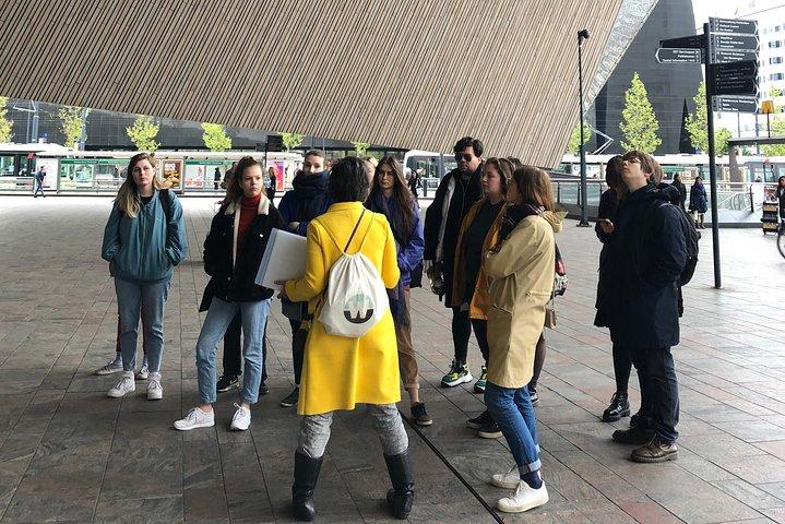Cultural Walking Tour in Rotterdam