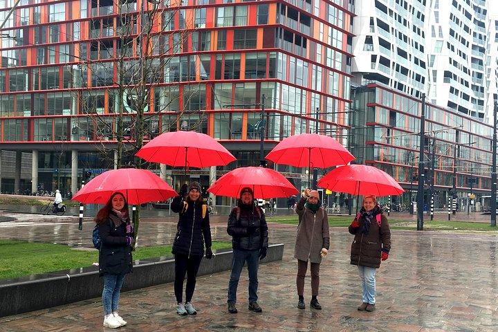 Cultural Walking Tour in Rotterdam