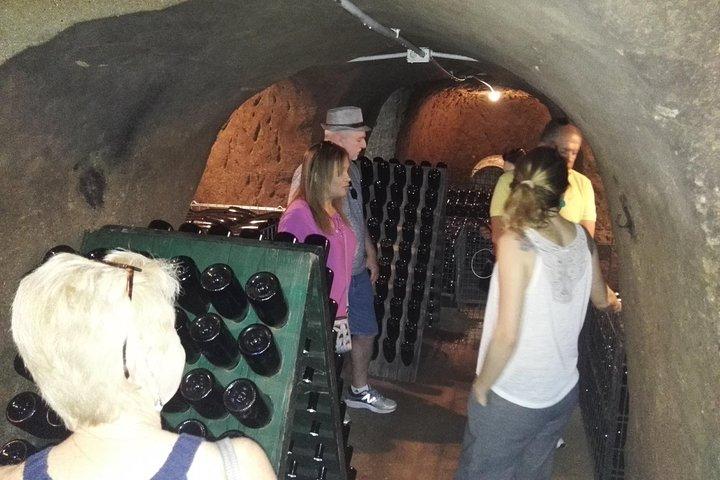 Castelli Romani, Frascati, Castel Gandolfo, Albano Lake + Wine Tasting - 8 Pax