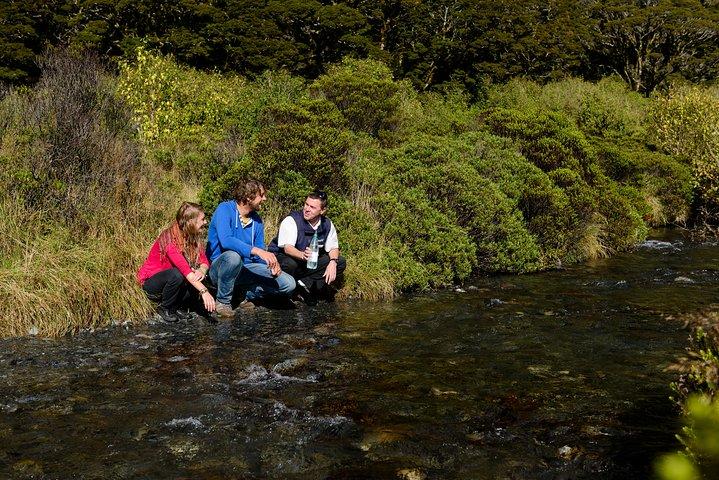 Milford Sound Day Tour with Scenic Cruise from Queenstown