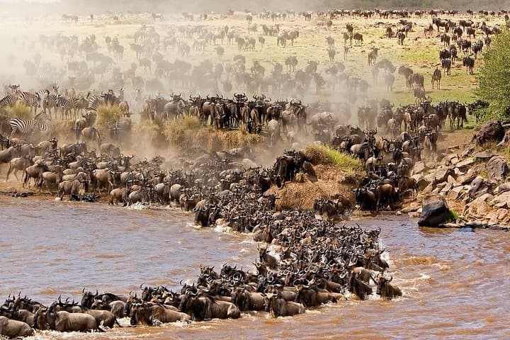 3-Day Safari to Maasai Mara National Reserve with Entry Fee