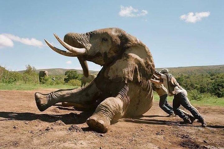 Day trip in Arusha National Park