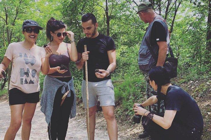 Truffle Hunting with Wine Tasting