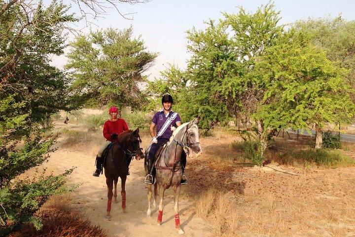 Desert Horse Riding- 1 Hour