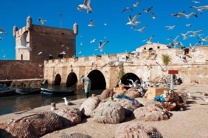 Best shared day trip to Essaouira from Marrakech