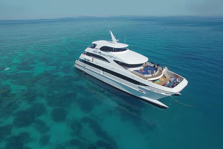 Cairns Super Saver: Reef Cruise, Daintree & Kuranda Rail/Skyrail