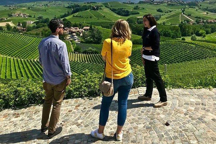 Taste Barolo and Barbaresco with a Sommelier. Piemonte Wine Tour