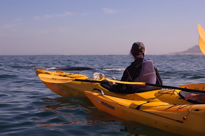 Kayak Chapman's Peak and Karbonkelberg in Hout Bay