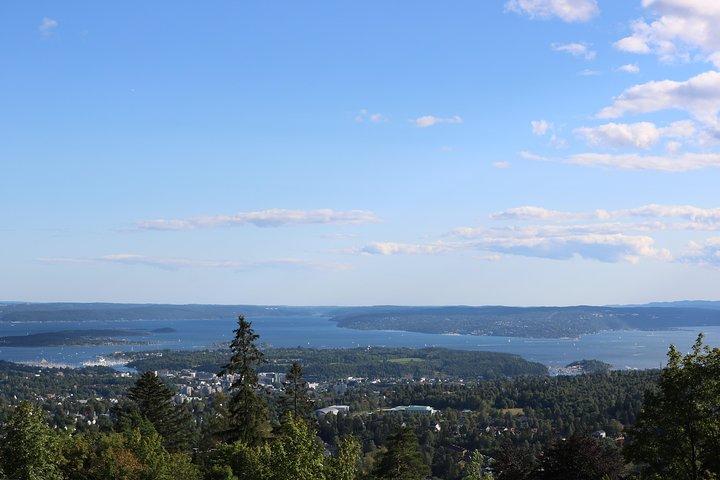 Oslo Panorama Tour with Holmenkollen Ski Jump and Vigeland Park