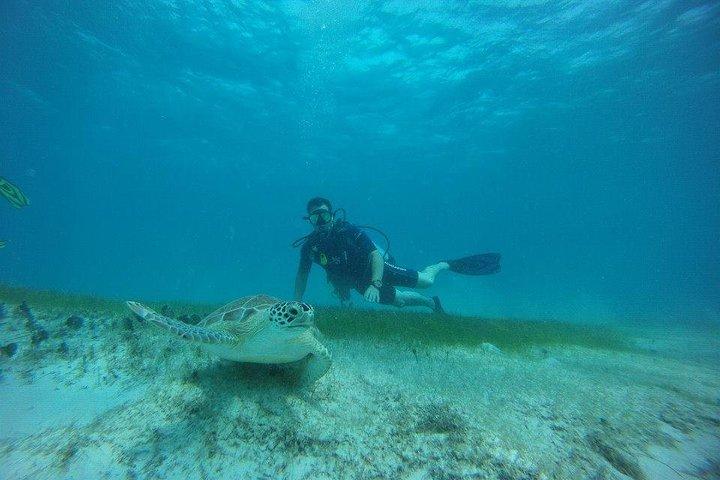 Discover Fajardo: 2-Tank Scuba Diving