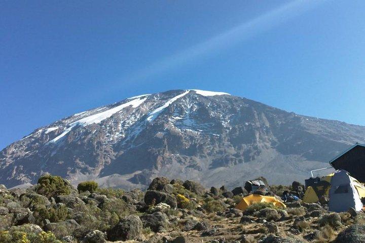 6 days Machame route From Arusha / Kilimanjaro