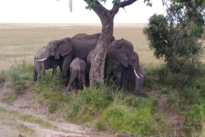 Nairobi National park