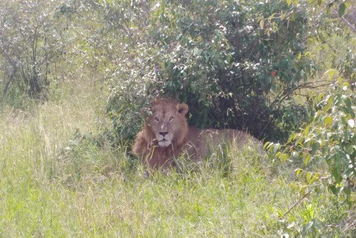 Nairobi National park