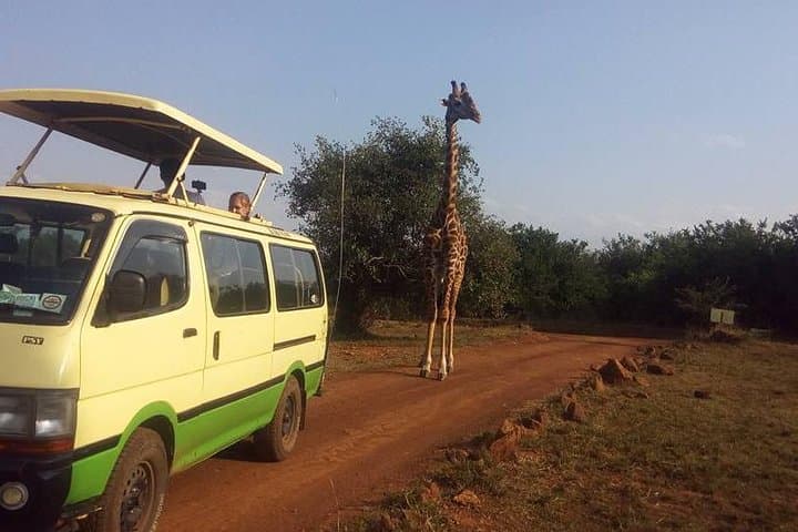 Tour Nairobi National Park
