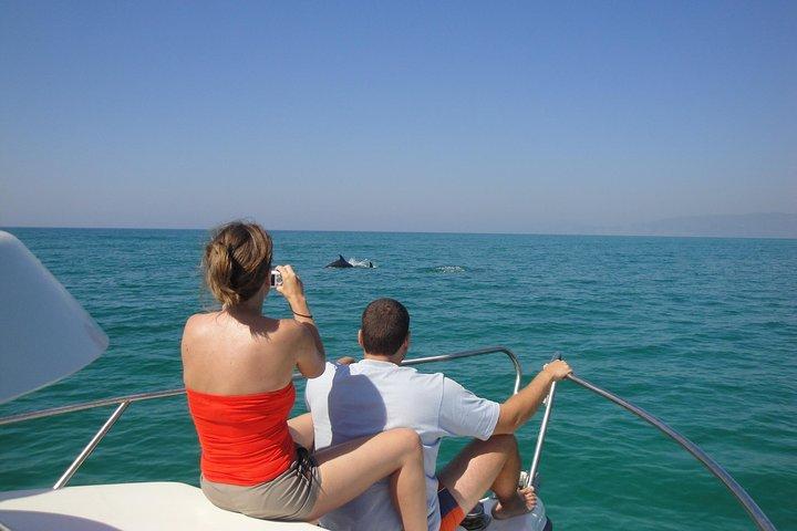 Boat Trip for Dolphin Watching along the Arrabida Coast and Sesimbra